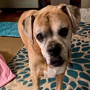 Meet your Posher, Holly